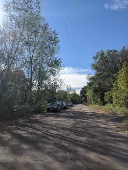 balance principle of photography